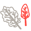 leaf-doodles