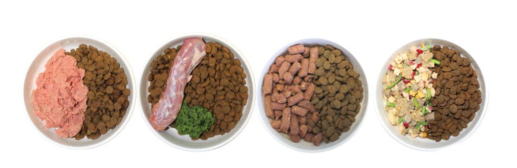 Bowls of dog kibble with add-ins