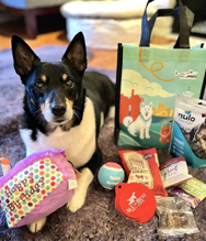 Dog with birthday bag and contents